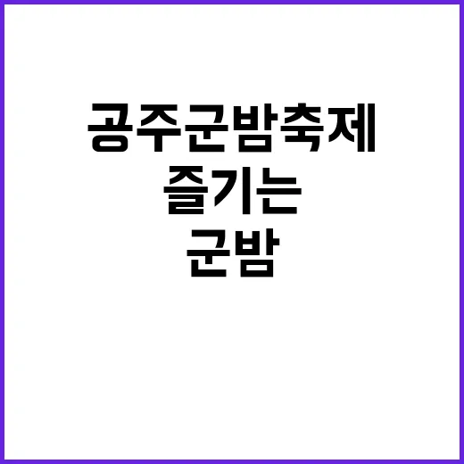 공주 군밤축제를 100% 즐기는 방법 - 요약