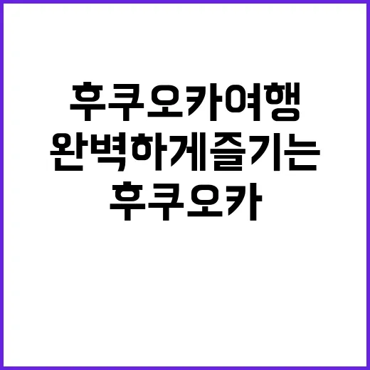 후쿠오카 여행을 완벽하게 즐기는 방법 - 요약