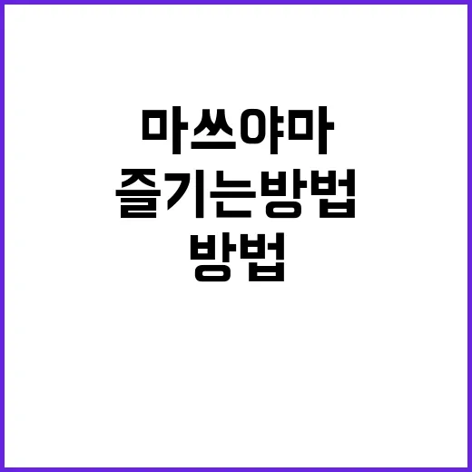 마쓰야마를 완벽히 즐기는 방법 - 요약