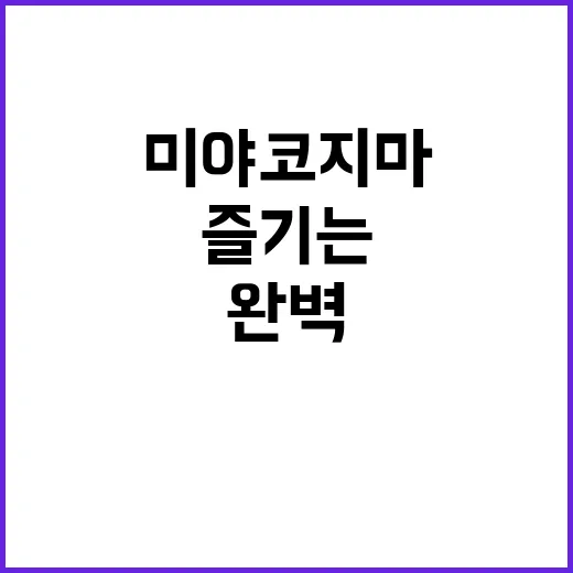 미야코지마를 완벽하게 즐기는 방법 - 요약