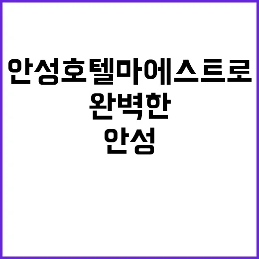 안성 호텔 마에스트로에서 완벽한 휴식을 취하는 방법 - 요약