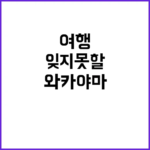 와카야마에서 잊지 못할 여행을 하는 방법 - 요약