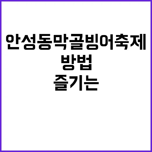 안성 동막골 빙어축제 즐기는 방법 - 요약