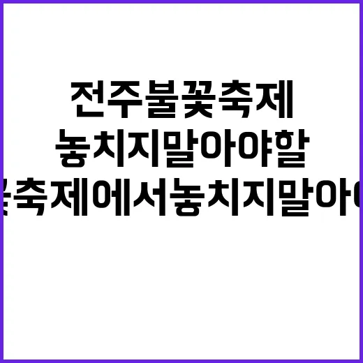 전주 불꽃축제에서 놓치지 말아야 할 것들 - 요약