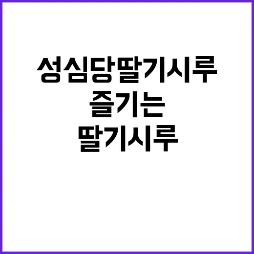 성심당 딸기시루를 즐기는 방법 - 요약