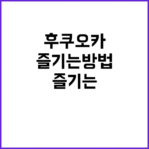 후쿠오카에서 꼭 방문해야 할 장소와 즐기는 방법 - 요약