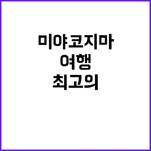 미야코지마에서 최고의 여행을 경험하는 방법