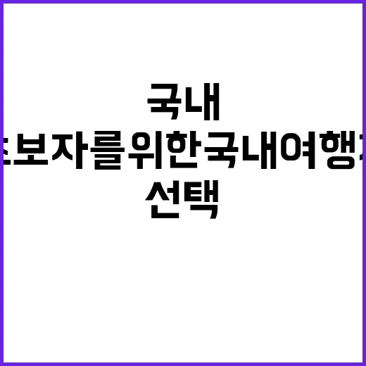 초보자를 위한 국내…