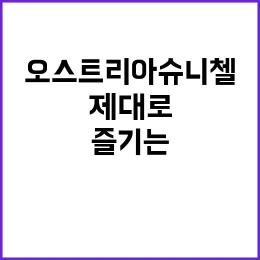 오스트리아 슈니첼을…