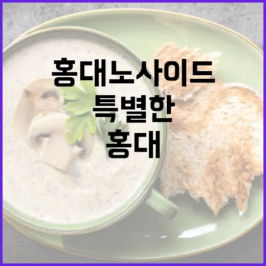 홍대 노사이드에서 특별한 하루를 보내는 방법 - 요약