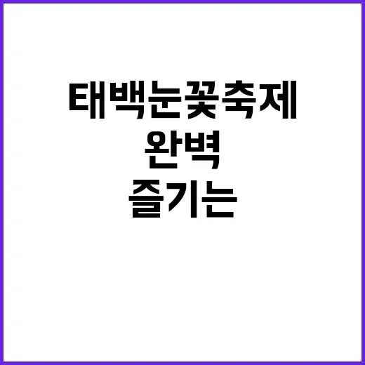 태백 눈꽃축제를 완…