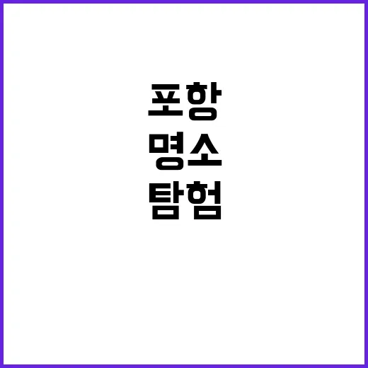 포항에서 꼭 방문해…