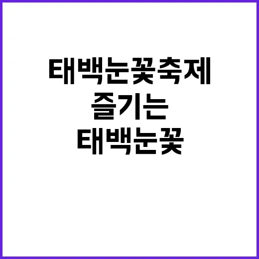 태백 눈꽃축제를 즐…