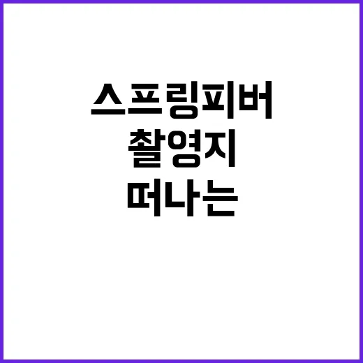 스프링피버 촬영지를…