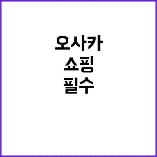 오사카에서 쇼핑을 …