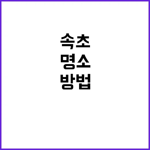 속초에서 꼭 방문해…