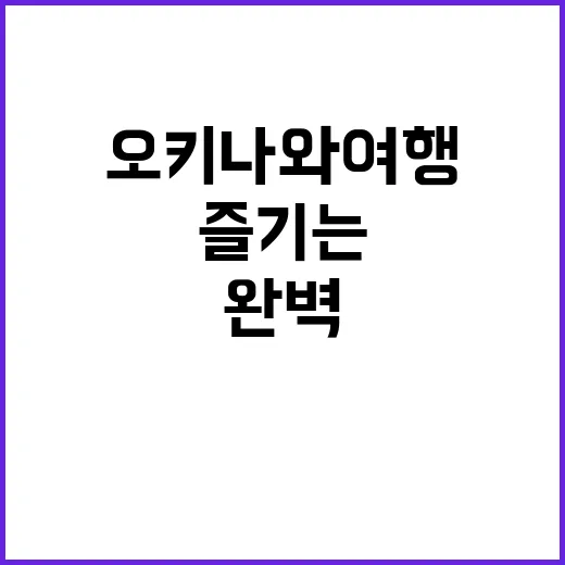 오키나와 여행을 완벽하게 즐기는 방법