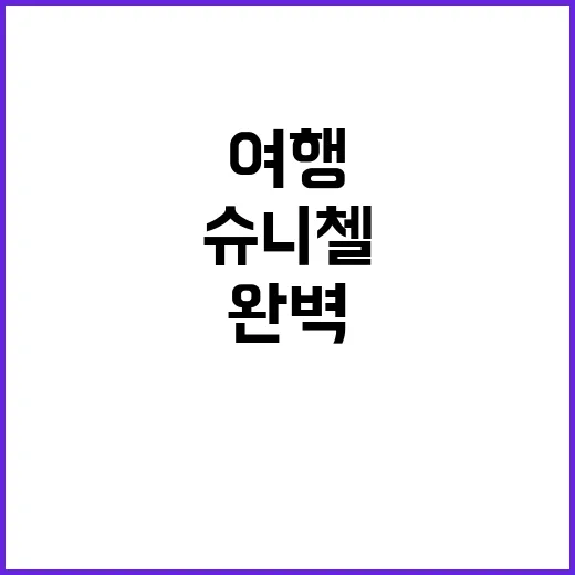 완벽한 슈니첼 여행…