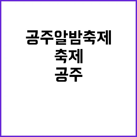 공주알밤축제를 즐기는 방법