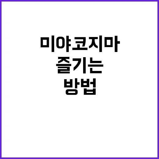 미야코지마에서 최고…