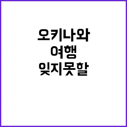 오키나와에서 잊지 …