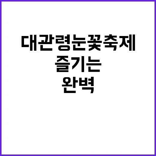 대관령 눈꽃축제를 …