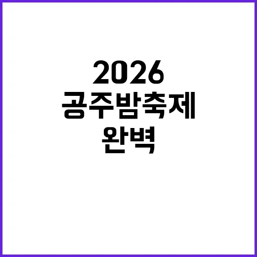 공주 밤축제 202…