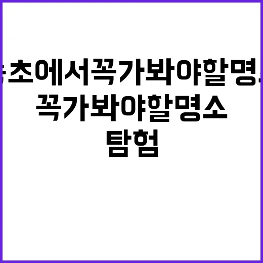 속초에서 꼭 가봐야 할 명소를 탐험하는 방법