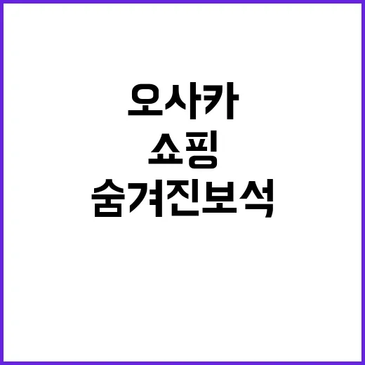 오사카에서 쇼핑하는 방법: 숨겨진 보석 찾기