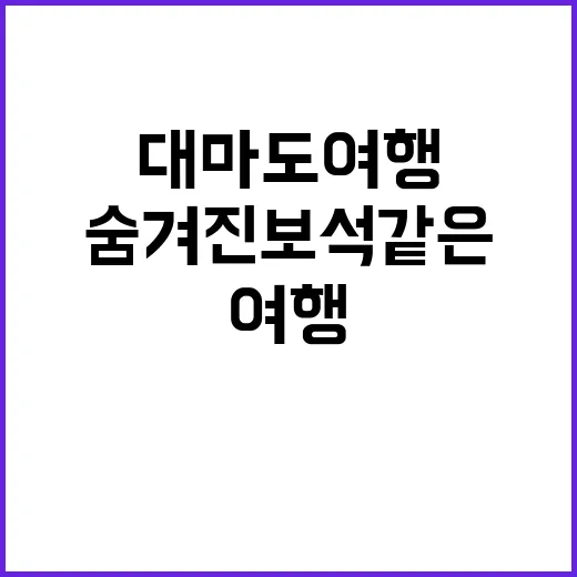대마도 여행을 만끽…