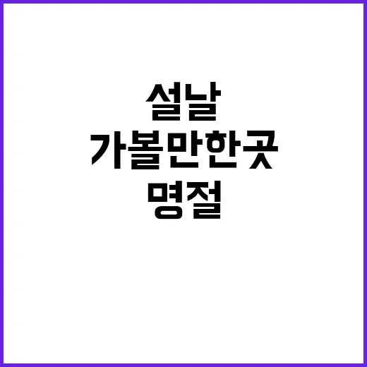 설날에 가볼만한 곳…