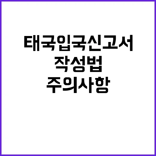 태국 입국신고서 작…
