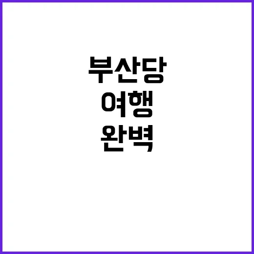 부산당 여행을 완벽…