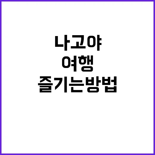 나고야 여행을 완벽…