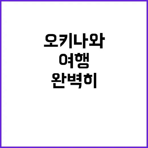 오키나와 여행을 완…