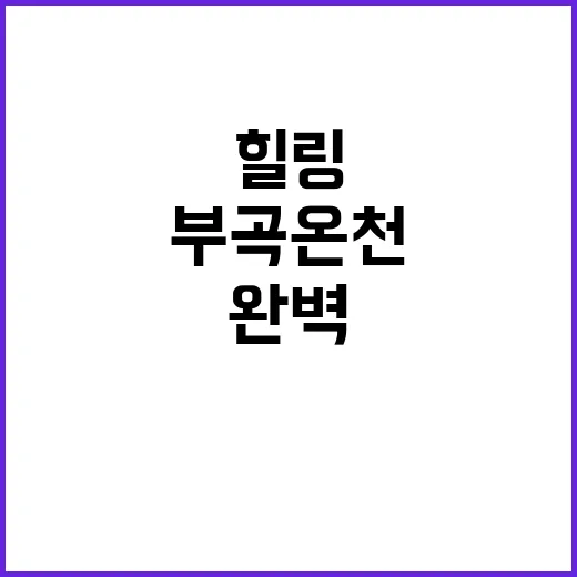 부곡온천에서 완벽한…