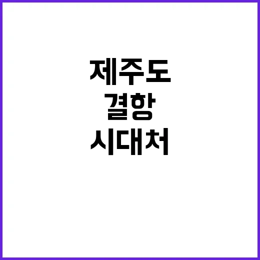 제주도 결항 시 대…