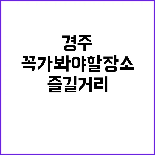경주에서 꼭 가봐야…