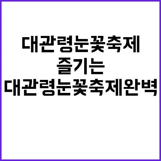 대관령 눈꽃축제 완벽하게 즐기는 방법