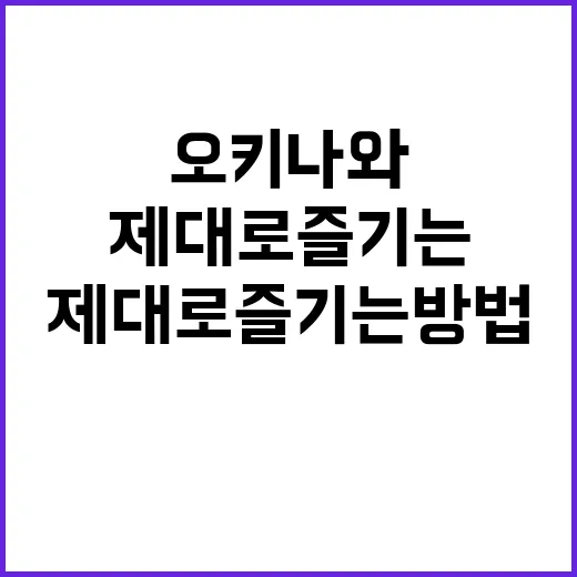 오키나와를 제대로 …