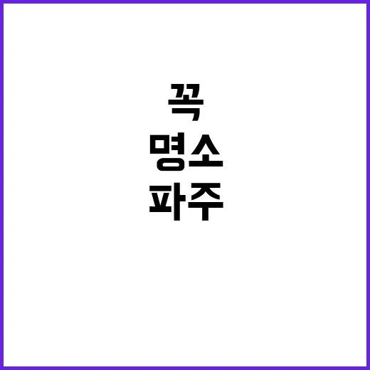 파주에서 꼭 방문해…