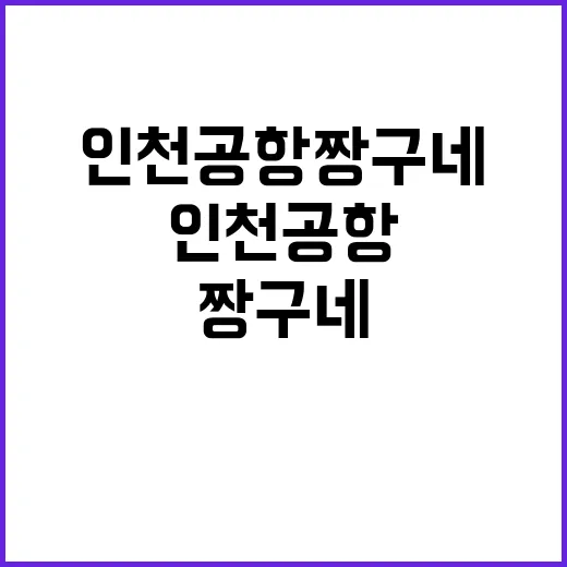 인천공항 짱구네를 …