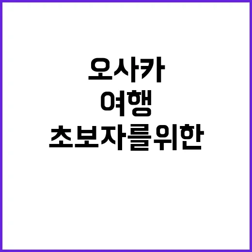 오사카를 제대로 즐기는 방법: 초보자를 위한 여행 팁