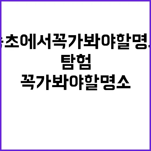 속초에서 꼭 가봐야…