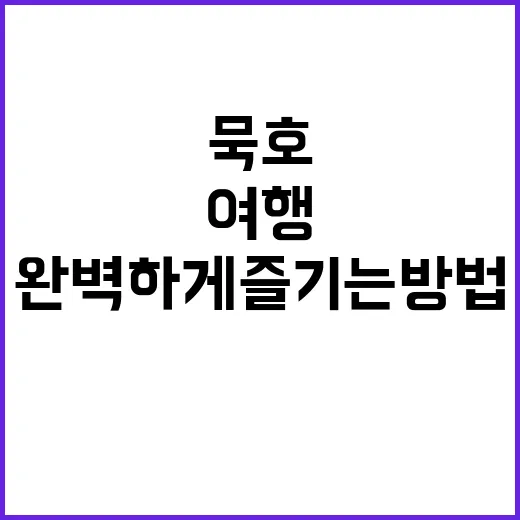 묵호 여행을 완벽하…