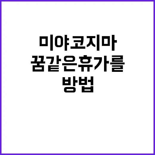 미야코지마에서 꿈같은 휴가를 보내는 방법