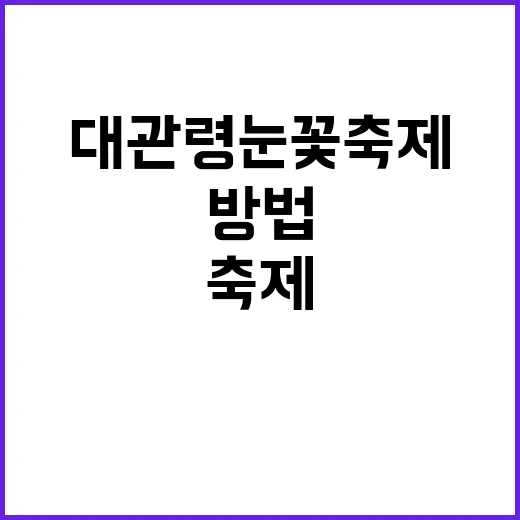 대관령 눈꽃축제를 …