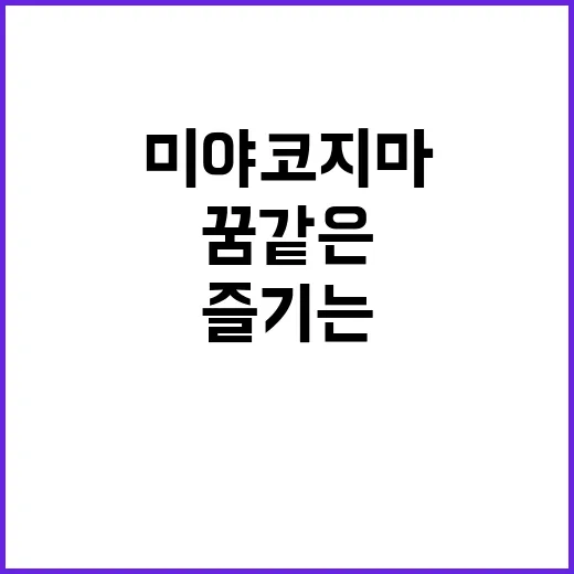 미야코지마에서 꿈같은 여행을 즐기는 방법