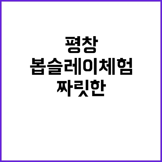 평창에서 짜릿한 봅…