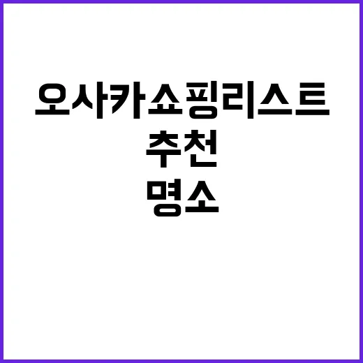 오사카 쇼핑리스트: 꼭 방문해야 할 명소와 추천 아이템